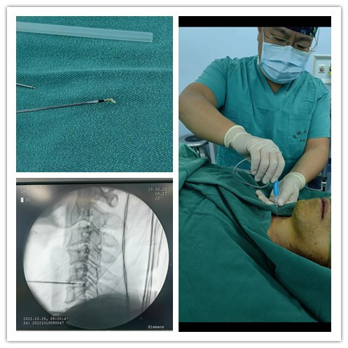 image005.jpg image005.jpg