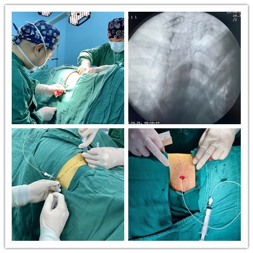 image011.jpg image011.jpg