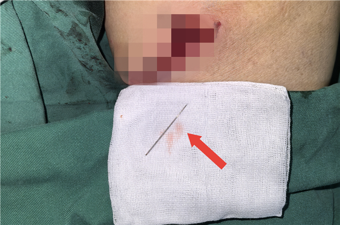 微信圖片_20241202104046_副本.jpg 微信圖片_20241202104046_副本.jpg