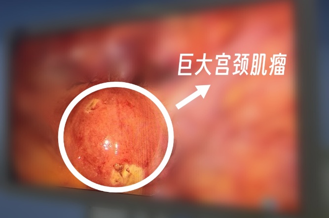 微信圖片_20250407112409_副本.jpg 微信圖片_20250407112409_副本.jpg